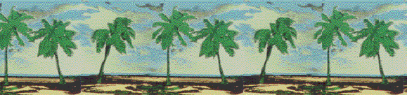 palm2.gif (34460 bytes)